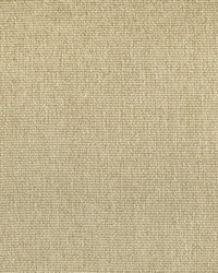 Greenhouse F3021 by  Greenhouse Fabrics 