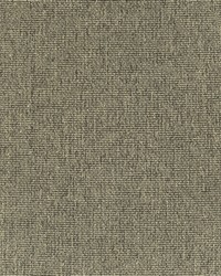 Greenhouse F3049 by  Greenhouse Fabrics 