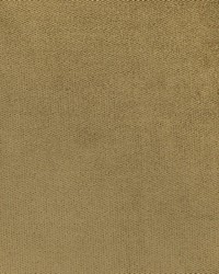 Greenhouse F3080 by  Greenhouse Fabrics 