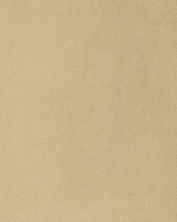 Greenhouse F3154 by  Greenhouse Fabrics 