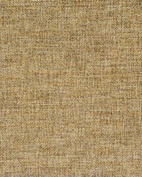 Greenhouse F3163 by  Greenhouse Fabrics 