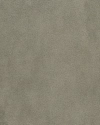 Greenhouse F3197 by  Greenhouse Fabrics 