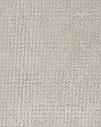 Greenhouse F3348 by  Greenhouse Fabrics 