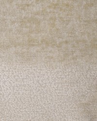 Greenhouse F3634 by  Greenhouse Fabrics 