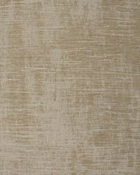 Greenhouse F3637 by  Greenhouse Fabrics 