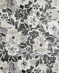 Greenhouse F3777 by  Greenhouse Fabrics 