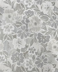 Greenhouse F3781 by  Greenhouse Fabrics 