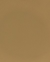 Greenhouse F3809 by  Greenhouse Fabrics 