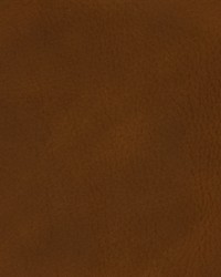 Greenhouse F3816 by  Greenhouse Fabrics 