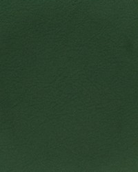 Greenhouse F3823 by  Greenhouse Fabrics 