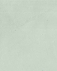 Greenhouse F3827 by  Greenhouse Fabrics 