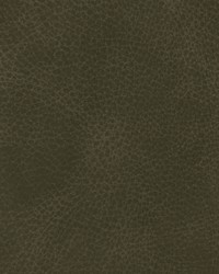 Greenhouse F3835 by  Greenhouse Fabrics 