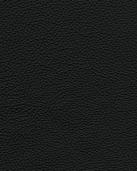 Greenhouse F3838 by  Greenhouse Fabrics 