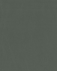 F3844 Zinc by  Greenhouse Fabrics 