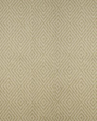 Greenhouse F4030 by  Greenhouse Fabrics 