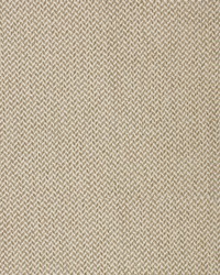 Greenhouse F4041 by  Greenhouse Fabrics 