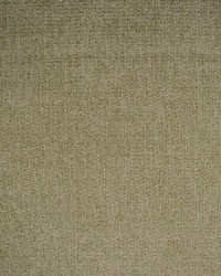 Greenhouse F4436 by  Greenhouse Fabrics 