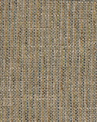 Greenhouse F4792 by  Greenhouse Fabrics 