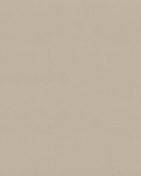 Greenhouse F5054 by  Greenhouse Fabrics 