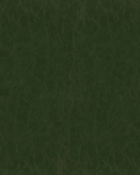 Greenhouse F5078 by  Greenhouse Fabrics 