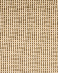 Greenhouse F5196 by  Greenhouse Fabrics 