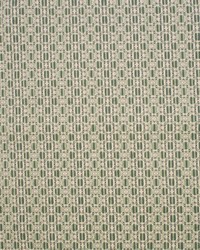 Greenhouse F5242 by  Greenhouse Fabrics 