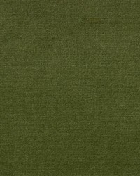 Greenhouse F5335 by  Greenhouse Fabrics 