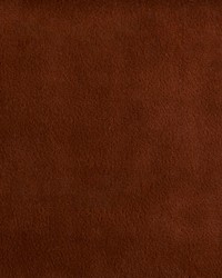 Greenhouse F5342 by  Greenhouse Fabrics 