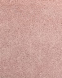 Greenhouse F5345 by  Greenhouse Fabrics 