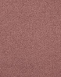 Greenhouse F5348 by  Greenhouse Fabrics 