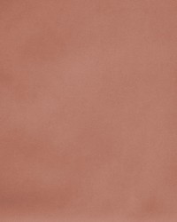 Greenhouse F5423 by  Greenhouse Fabrics 