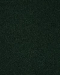 Greenhouse F5429 by  Greenhouse Fabrics 