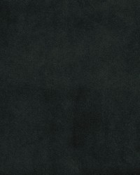 Greenhouse F5444 by  Greenhouse Fabrics 