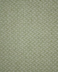 Greenhouse F5457 by  Greenhouse Fabrics 