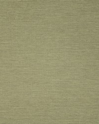 Greenhouse F5458 by  Greenhouse Fabrics 