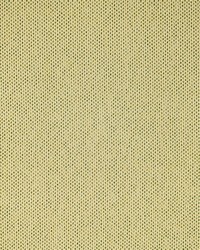 Greenhouse F5464 by  Greenhouse Fabrics 