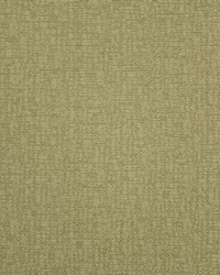 Greenhouse F5465 by  Greenhouse Fabrics 