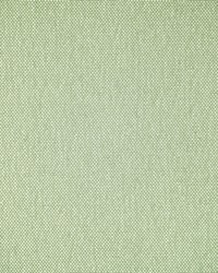 Greenhouse F5483 by  Greenhouse Fabrics 