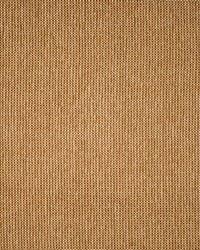 Greenhouse F5534 by  Greenhouse Fabrics 