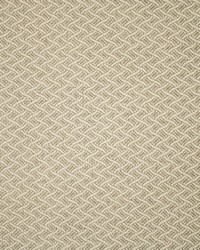 Greenhouse F5543 by  Greenhouse Fabrics 