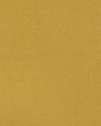 Greenhouse F5571 by  Greenhouse Fabrics 