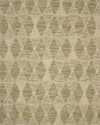 Greenhouse F5646 by  Greenhouse Fabrics 