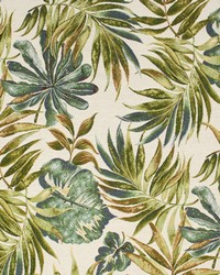 Greenhouse F5687 by  Greenhouse Fabrics 