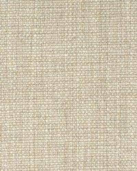 Greenhouse S1006 by  Greenhouse Fabrics 