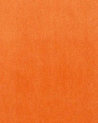 Greenhouse S1065 by  Greenhouse Fabrics 