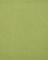 Greenhouse S1265 by  Greenhouse Fabrics 