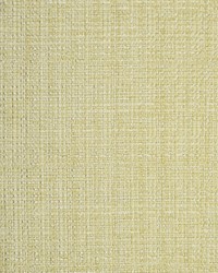 Greenhouse S1541 by  Greenhouse Fabrics 