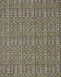 Greenhouse S1635 by  Greenhouse Fabrics 