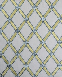 Greenhouse S1936 by  Greenhouse Fabrics 