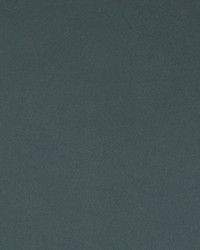 Greenhouse S2195 by  Greenhouse Fabrics 